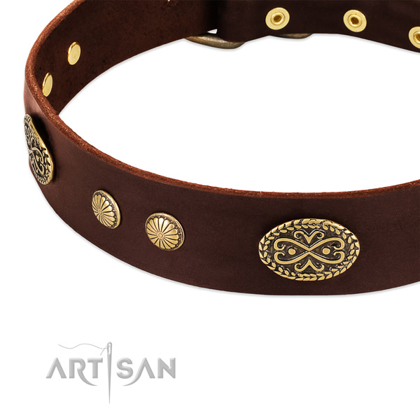 Corrosion proof decorations on full grain leather dog collar for your pet