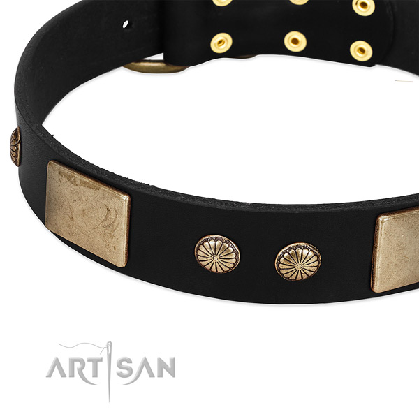 Genuine leather dog collar with decorations for daily use