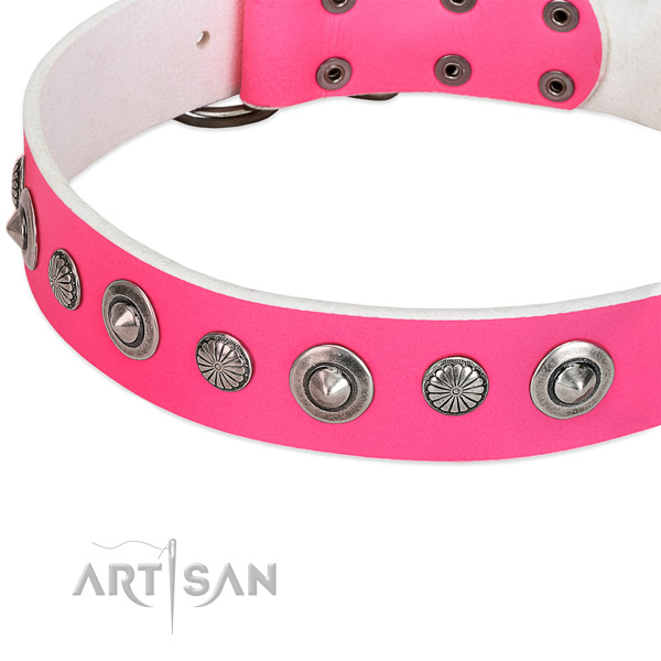 Leather collar with corrosion proof fittings for your handsome dog