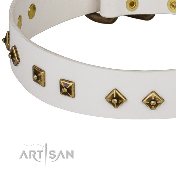 Decorated genuine leather collar for your attractive doggie