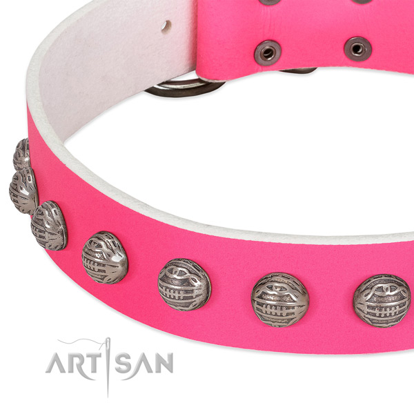 Comfy wearing genuine leather dog collar with remarkable studs