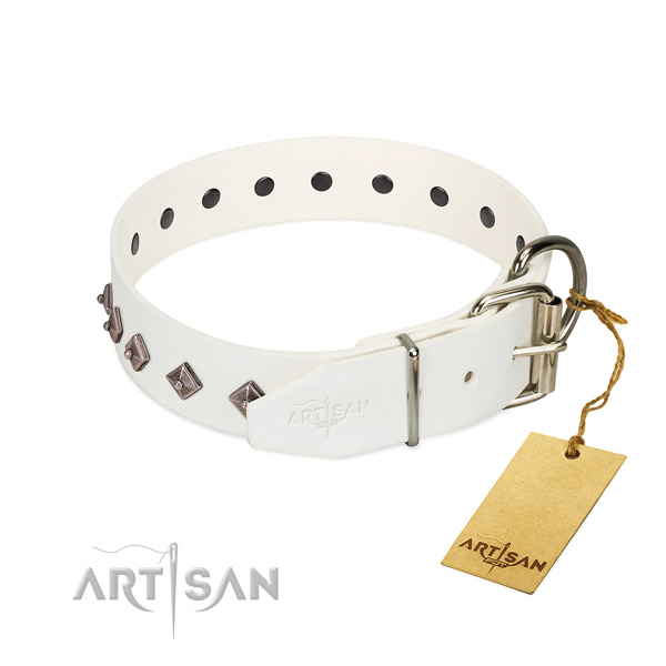 Remarkable adornments on genuine leather collar for fancy walking your dog