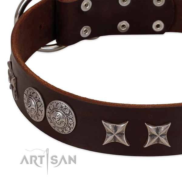 Perfect fit full grain natural leather dog collar with strong D-ring
