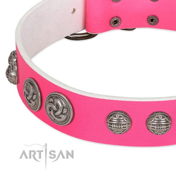 Reliable traditional buckle on genuine leather collar for fancy walking your four-legged friend