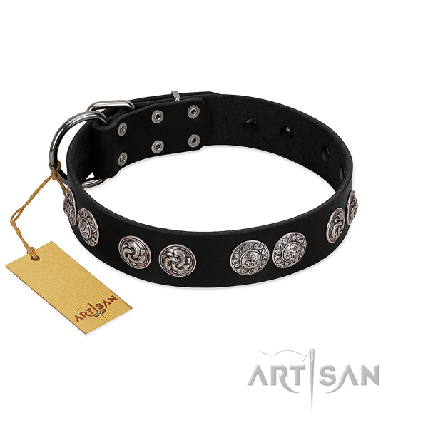 Trendy full grain leather collar for your dog stylish walks