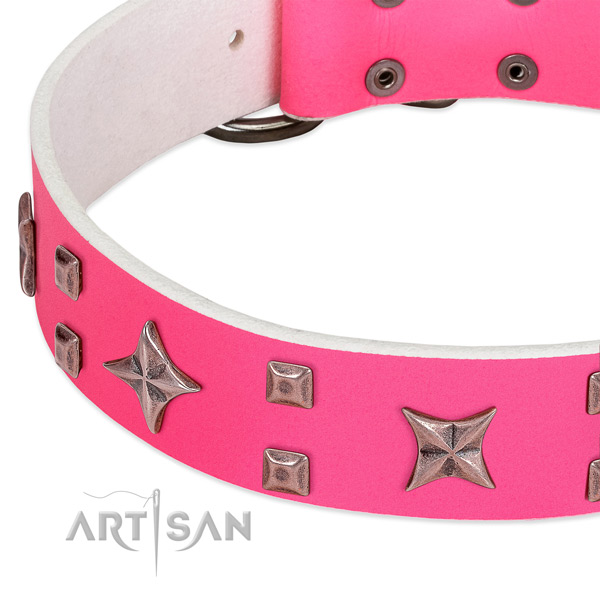 Durable traditional buckle on leather collar for daily walking your canine