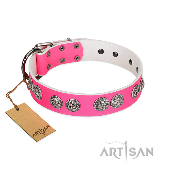Trendy leather collar for your dog walking