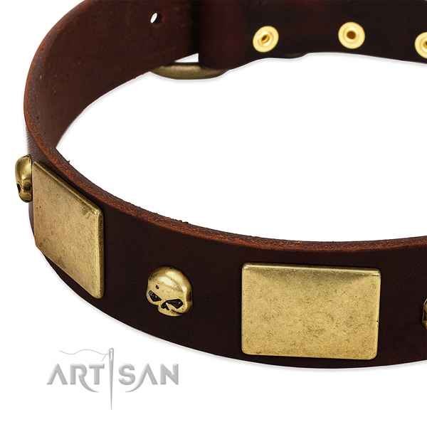 High quality leather collar with corrosion proof adornments for your doggie