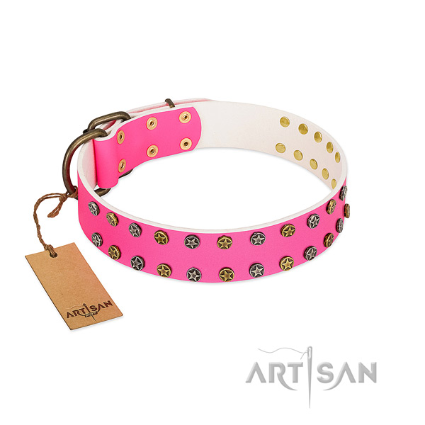 Soft full grain leather collar with embellishments for your dog