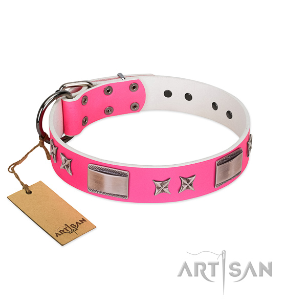 Fine quality collar of genuine leather for your beautiful dog