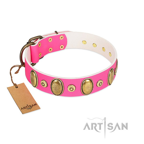 Flexible genuine leather collar with corrosion proof adornments for your dog