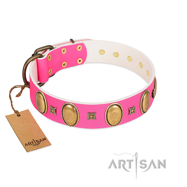 Genuine leather dog collar with top notch studs for daily walking
