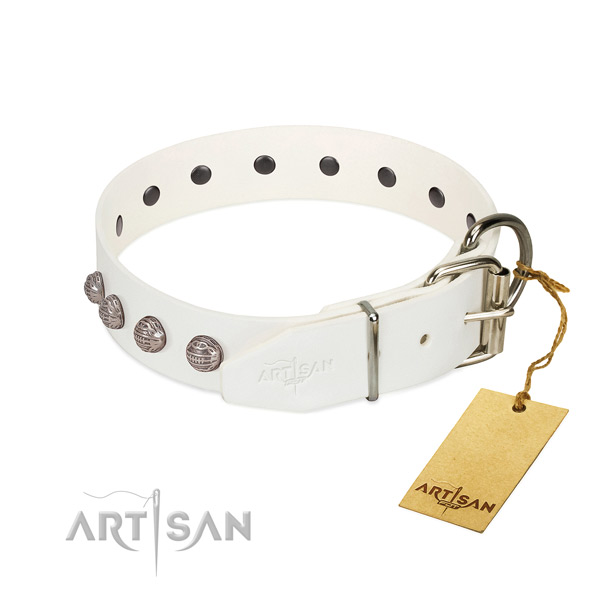 Leather dog collar of top notch material with designer studs