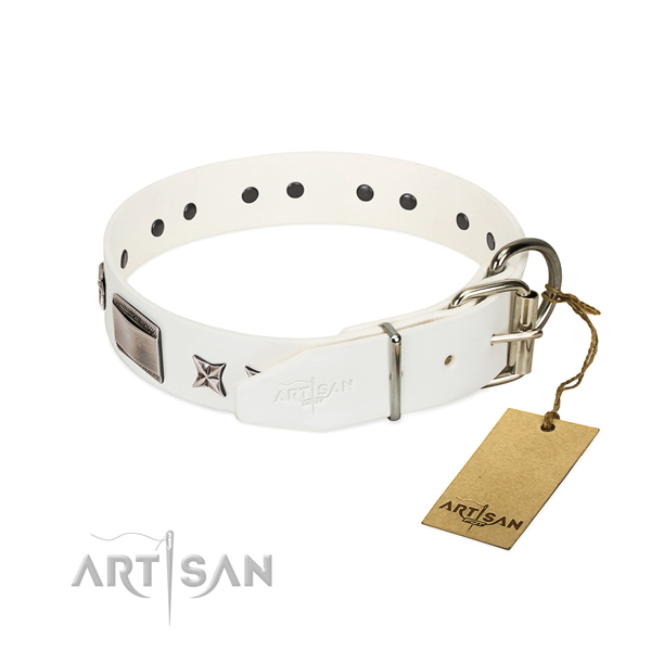 Stylish design collar of natural leather for your beautiful doggie