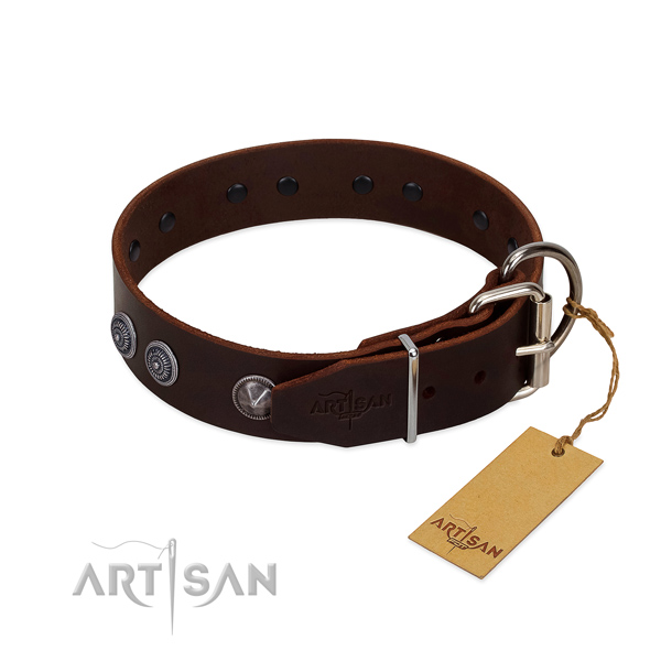 Extraordinary full grain leather dog collar for everyday walking