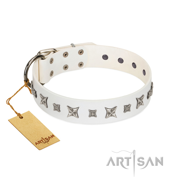 High quality full grain genuine leather dog collar with exceptional embellishments