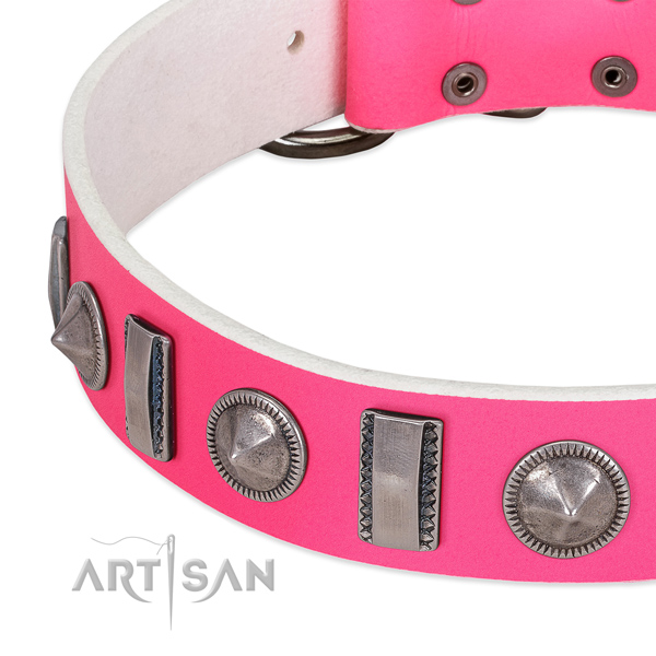 Stylish design adorned full grain natural leather dog collar for walking