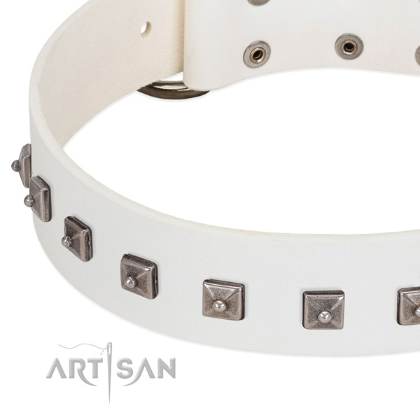 Best quality full grain genuine leather dog collar with top notch decorations