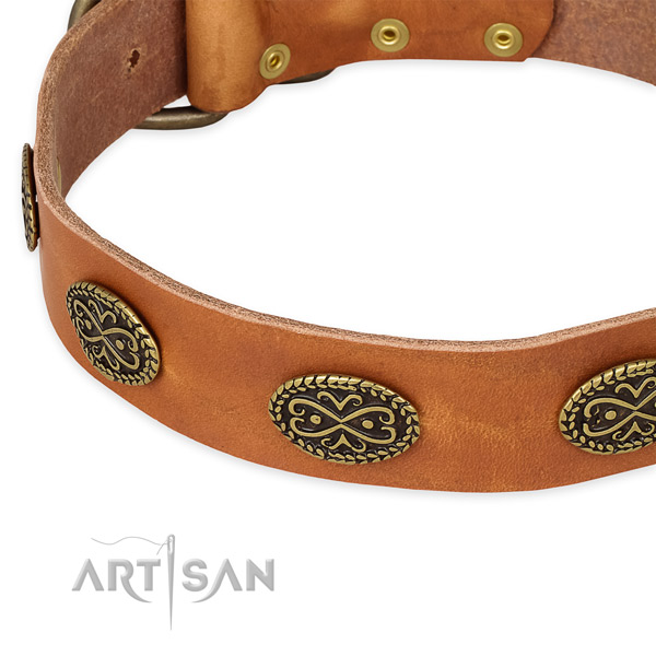 Unique natural genuine leather collar for your attractive doggie