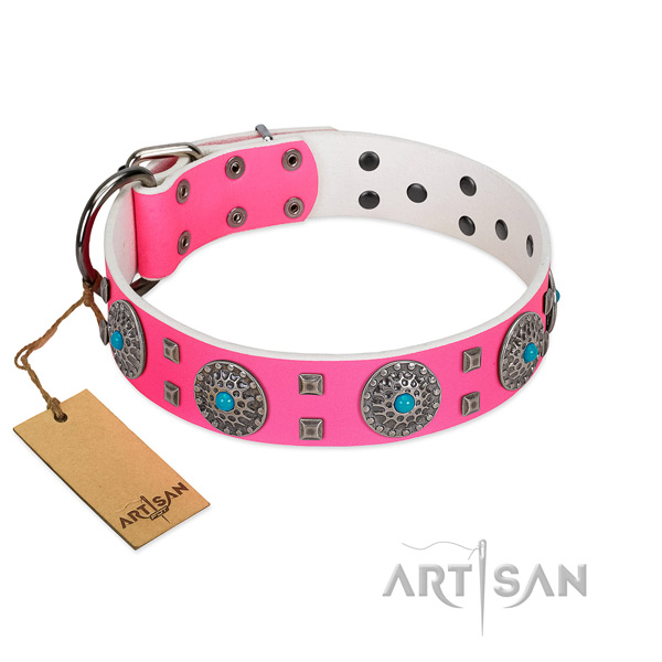Everyday use natural leather dog collar with significant embellishments