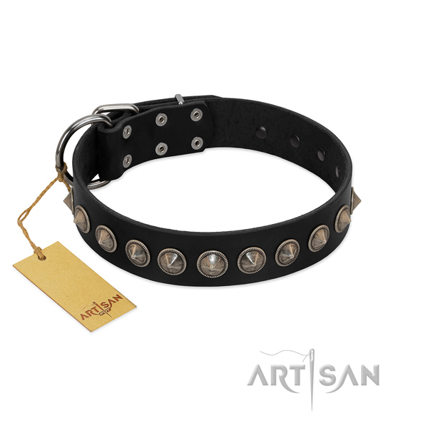 Soft to touch full grain natural leather dog collar with top notch adornments