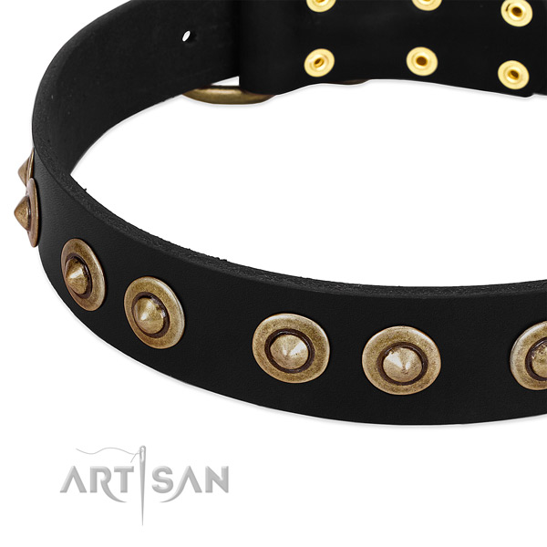 Reliable decorations on leather dog collar for your four-legged friend