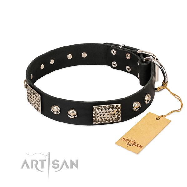 Easy adjustable leather dog collar for basic training your four-legged friend