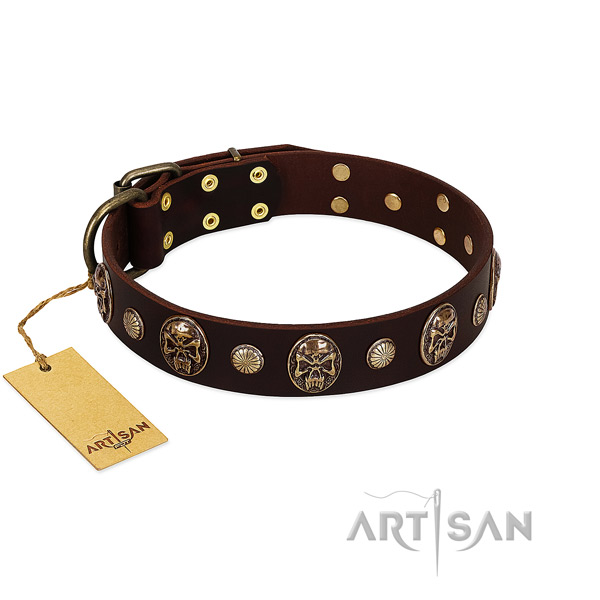 Exceptional natural genuine leather dog collar for daily use