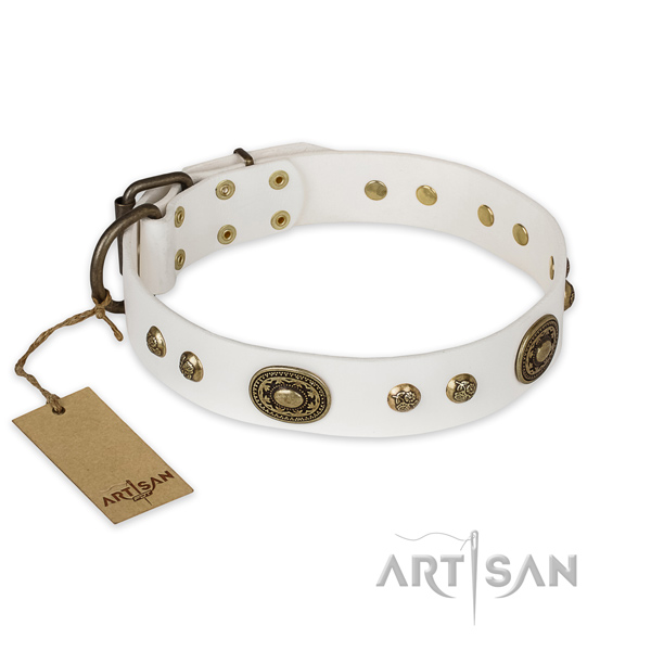 Stylish full grain leather dog collar for daily use