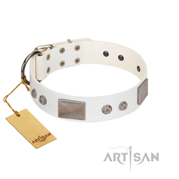 Easy wearing full grain natural leather collar for your handsome doggie