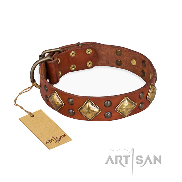 Daily walking adorned dog collar with strong traditional buckle