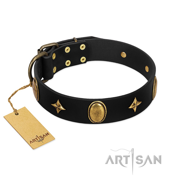 Soft natural leather collar with rust resistant embellishments for your dog