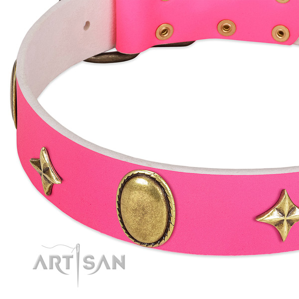 Top notch full grain leather dog collar with corrosion proof hardware