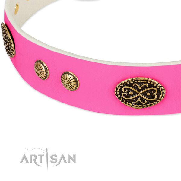 Rust resistant adornments on genuine leather dog collar for your canine
