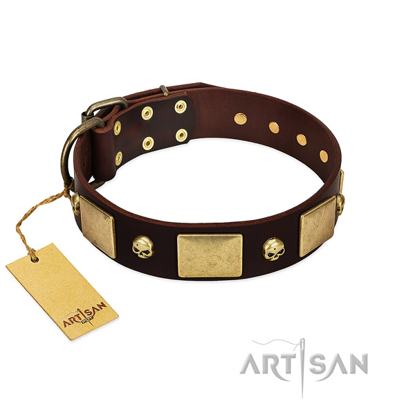 Top rate full grain leather dog collar with rust resistant embellishments
