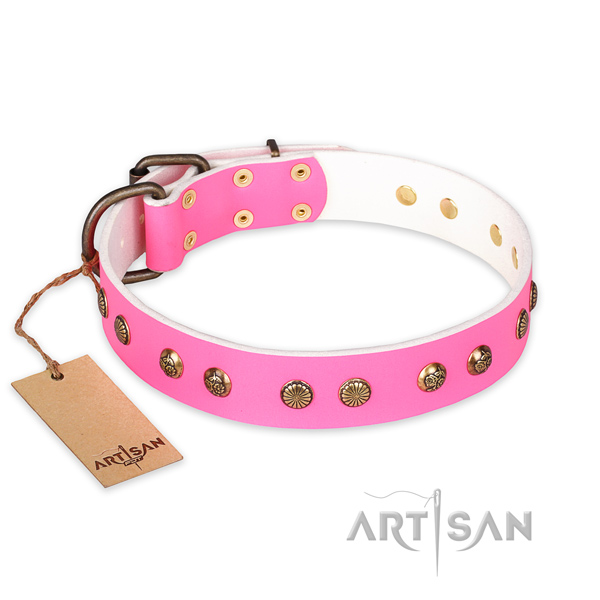 Fine quality genuine leather dog collar with reliable hardware