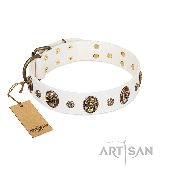 Exquisite natural genuine leather collar for your four-legged friend