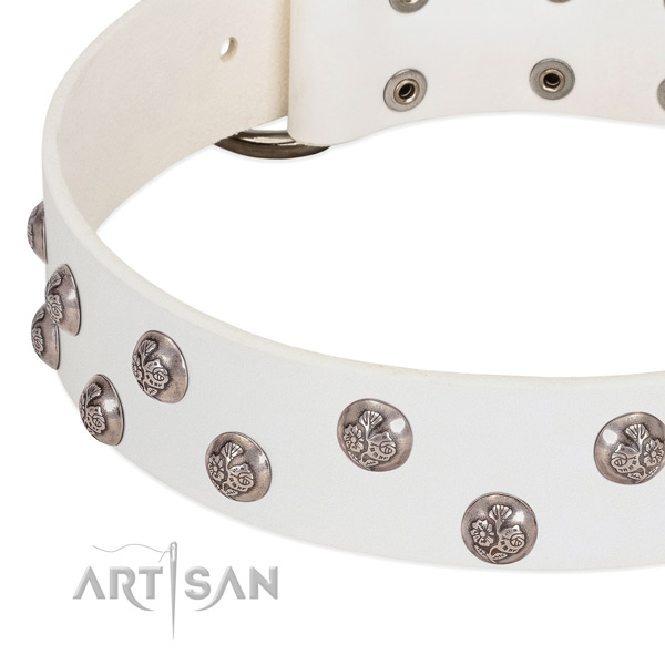 Full grain natural leather dog collar with corrosion resistant fittings and decorations