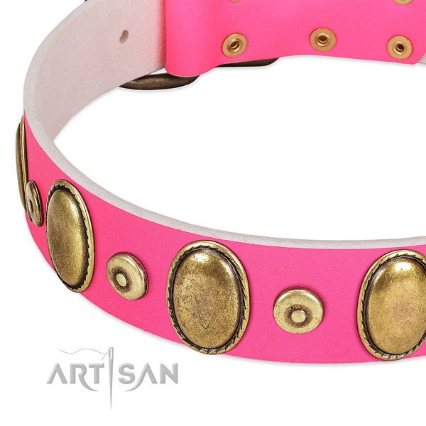 Flexible leather collar with corrosion proof studs for your canine