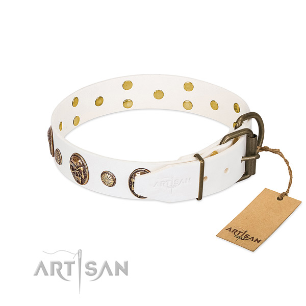 Strong traditional buckle on leather collar for basic training your doggie