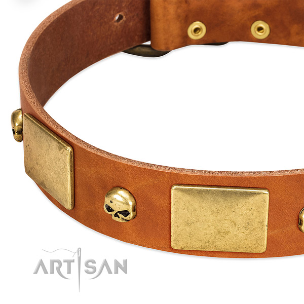 Quality full grain genuine leather dog collar with corrosion resistant D-ring
