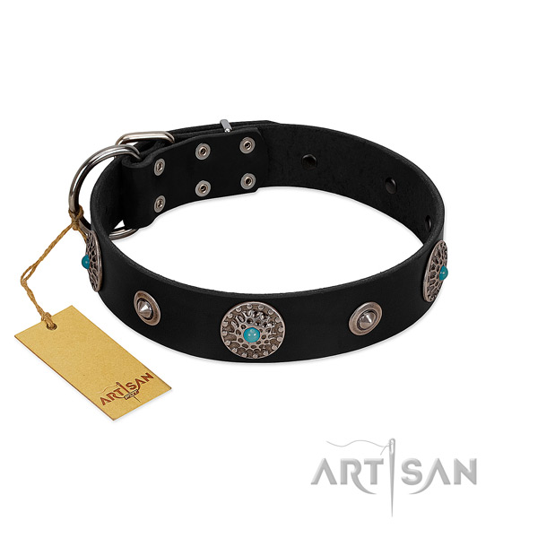 High quality genuine leather dog collar handcrafted for your canine