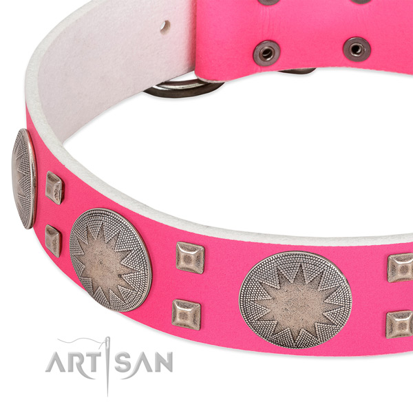 Walking flexible genuine leather dog collar