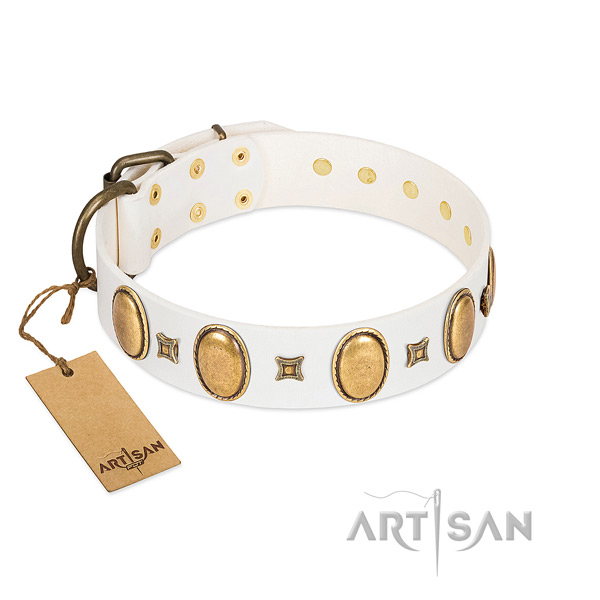 Full grain leather dog collar with amazing decorations for fancy walking