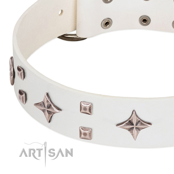 Easy to adjust leather dog collar for daily use