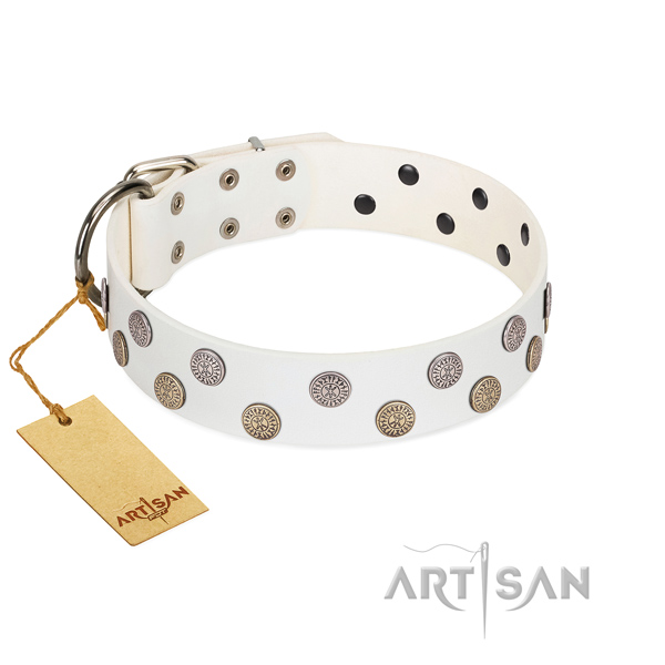 Fashionable adornments on natural leather collar for everyday walking your canine