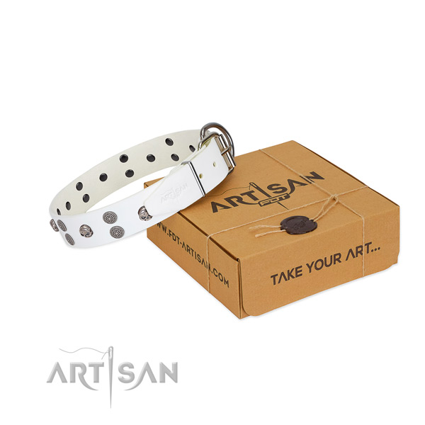 Comfortable wearing full grain leather dog collar with unusual studs