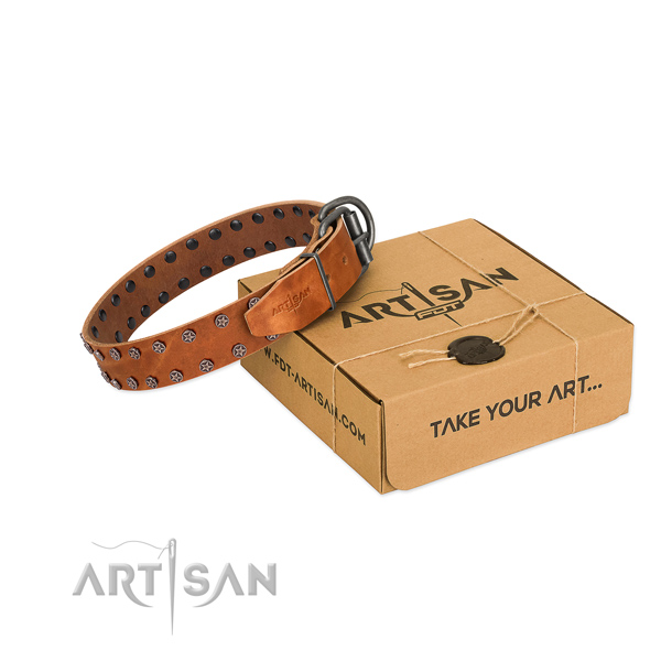 Soft full grain leather dog collar with decorations for your attractive pet