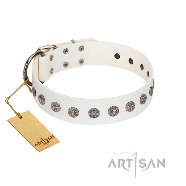 Impressive studs on genuine leather collar for comfortable wearing your four-legged friend