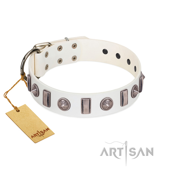 Best quality natural leather dog collar with adornments for your canine